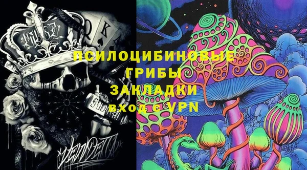 кокс Осташков